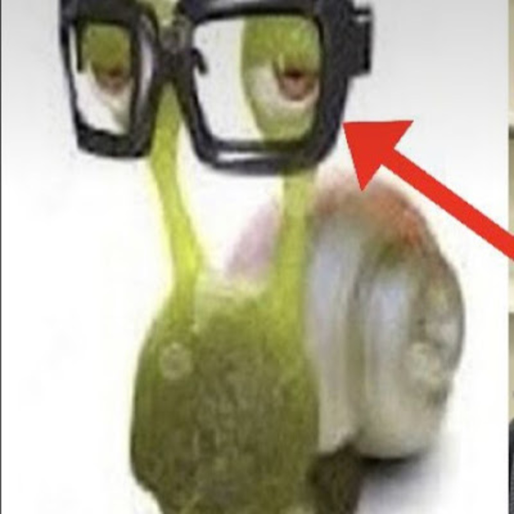 Meet your Posher, Isabella